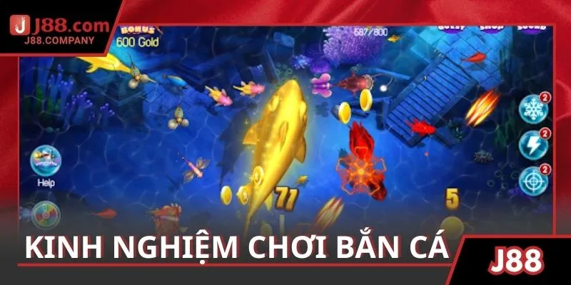 Bật mí kinh nghiệm săn cá đạt lợi nhuận cao