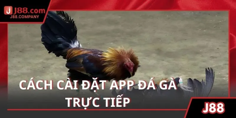 Chia sẻ cách cài đặt và sử dụng ứng dụng đấu kê online chuẩn xác