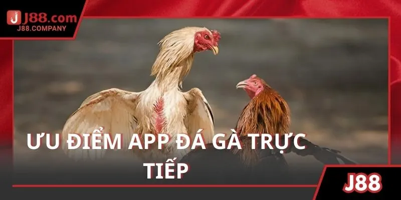 Đánh giá khách quan ưu điểm mà app đá gà sở hữu