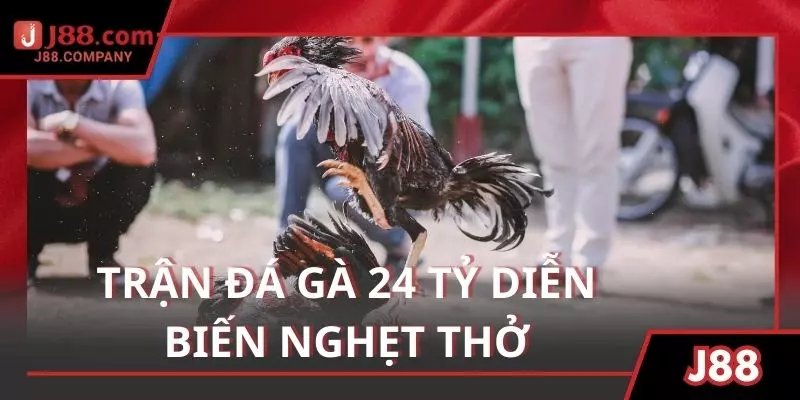 Diễn biến nghẹt thở trong trận đá gà 24 tỷ