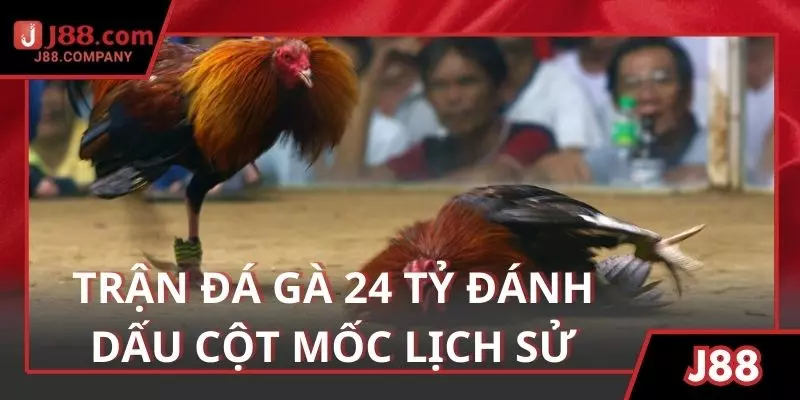 Trận đá gà 24 tỷ đánh dấu một bước ngoặt trong lịch sử giới chọi kê